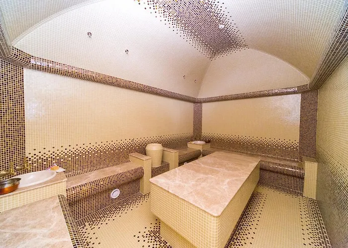 Palace Del Mar 5* אודסה